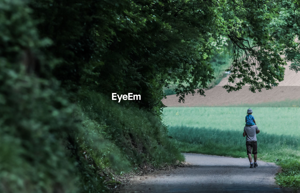 Rear view of father carrying daughter while walking on footpath by trees