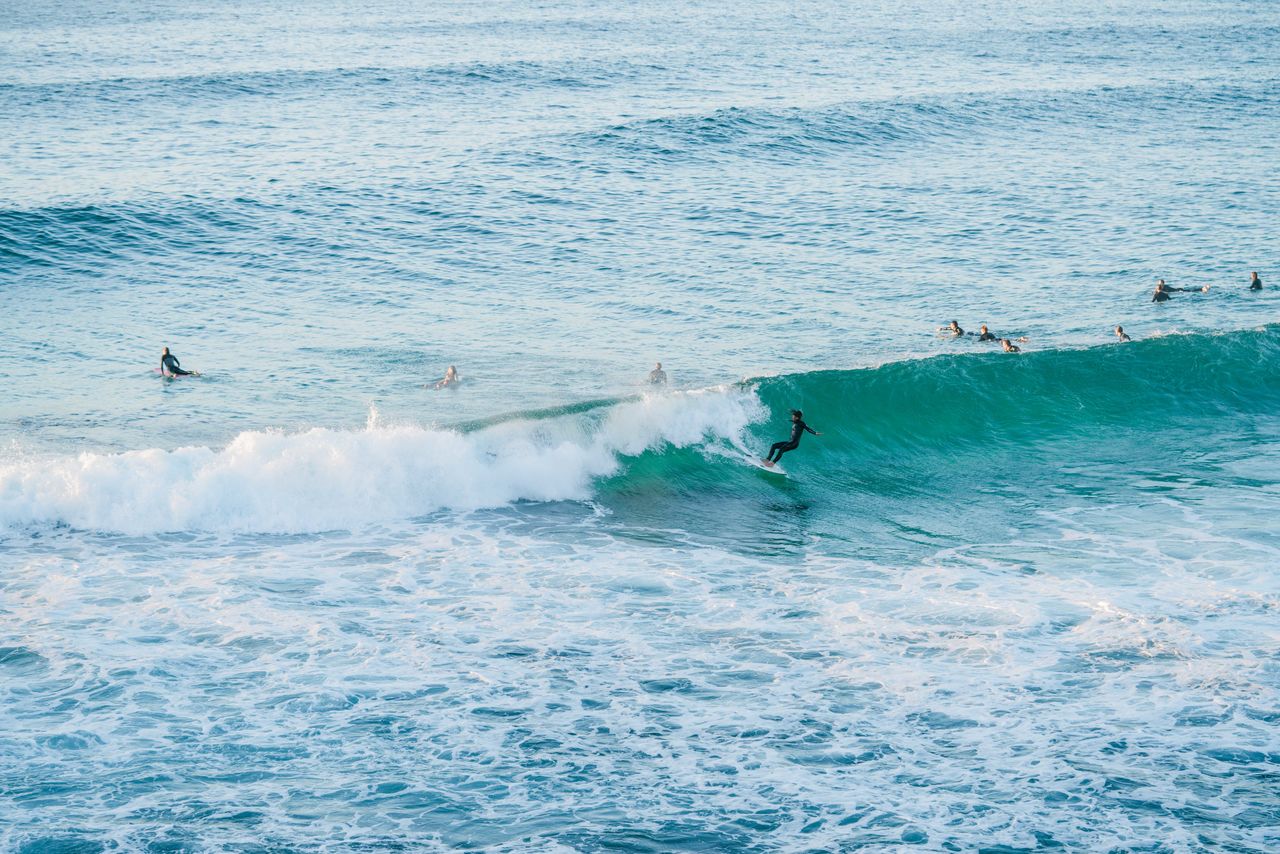 Surfers in the water riding waves at sydney beach