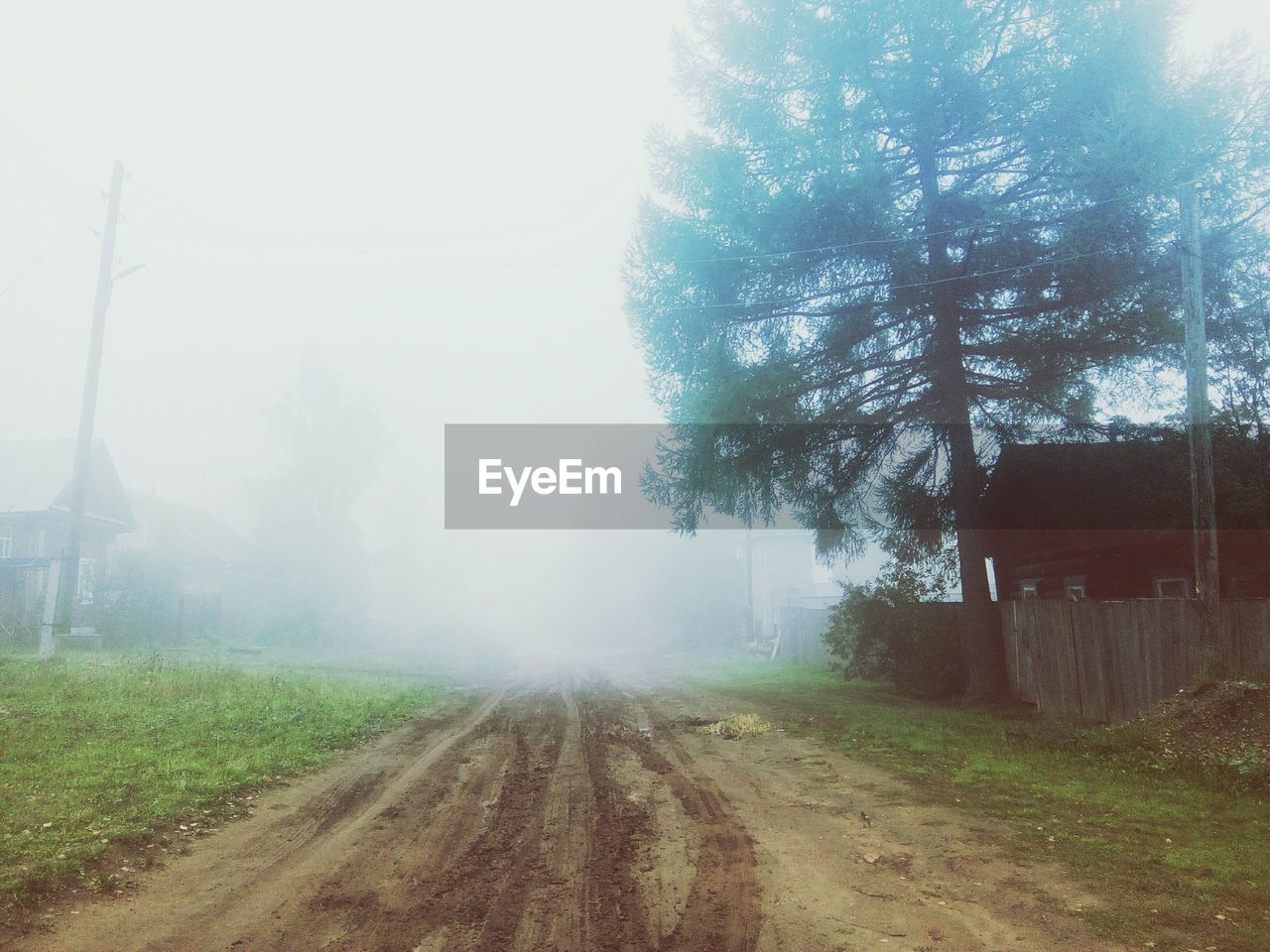 SCENIC VIEW OF FIELD IN FOGGY WEATHER