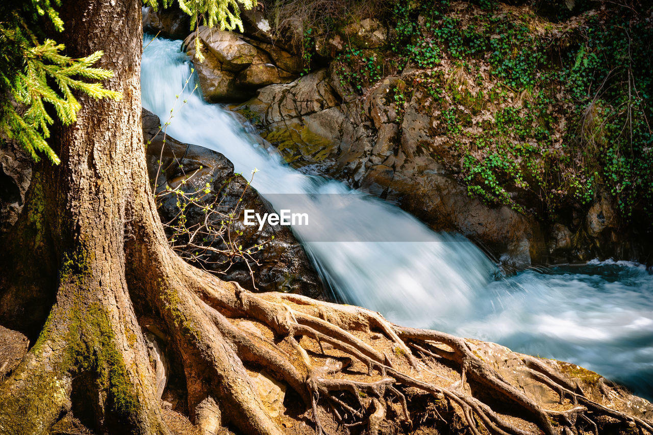 Mountain waterfall in spring