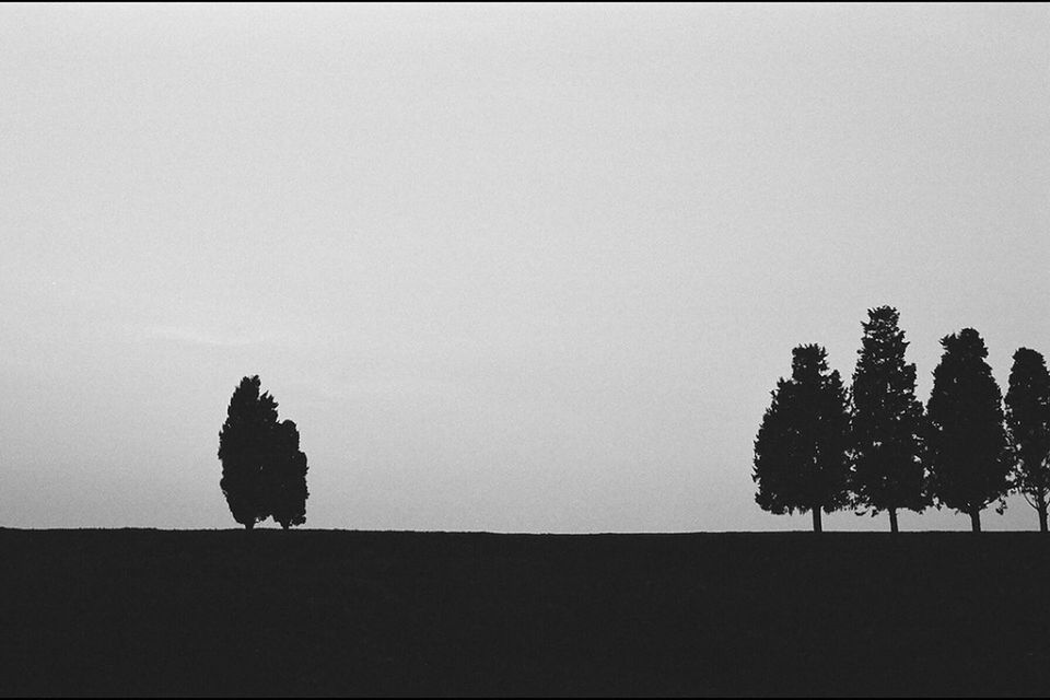 Trees on silhouette landscape against clear sky