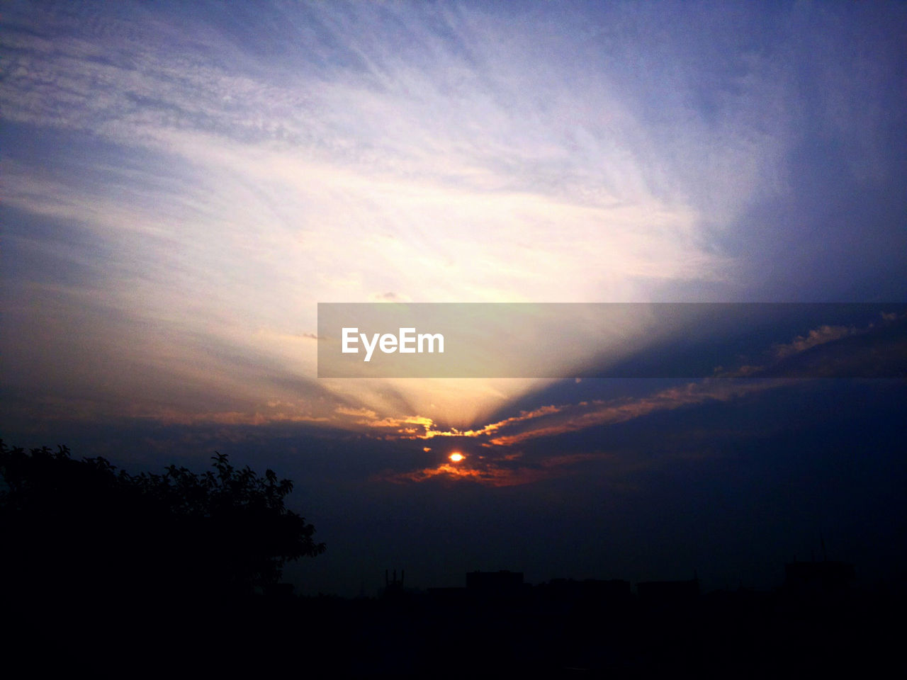 SILHOUETTE OF TREES AT SUNSET