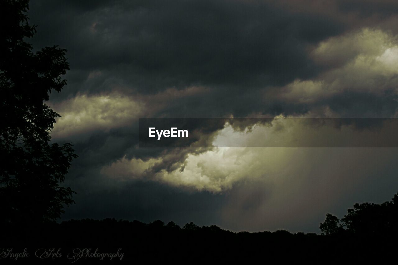 SILHOUETTE OF TREES ON LANDSCAPE AGAINST CLOUDY SKY