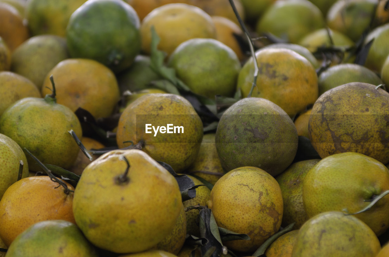 food and drink, food, healthy eating, fruit, freshness, wellbeing, plant, abundance, market, large group of objects, produce, no people, retail, organic, tropical fruit, close-up, market stall, backgrounds, green, mango, ripe, yellow, still life, citrus fruit, full frame, for sale, business, agriculture, mango fruit, vitamin, outdoors, juicy, sweet food, business finance and industry, pear