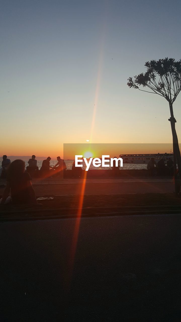 Sun shining through trees