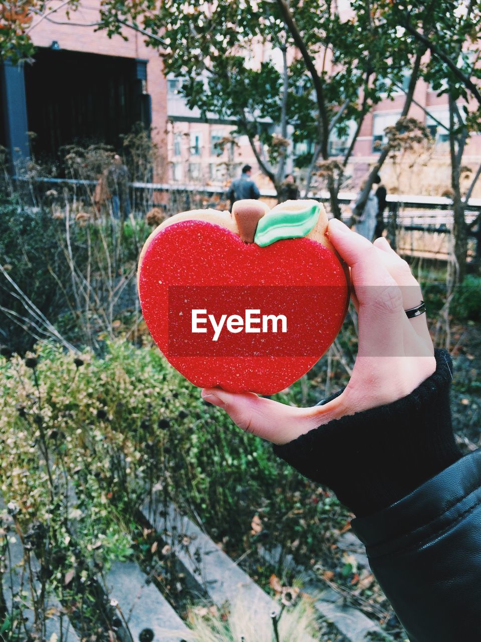 Close-up of hand holding artificial apple