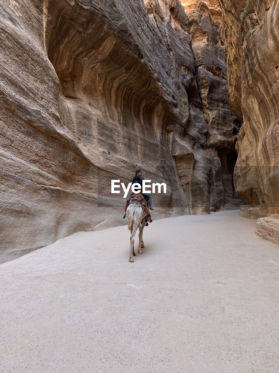 Rear view of man riding on rock