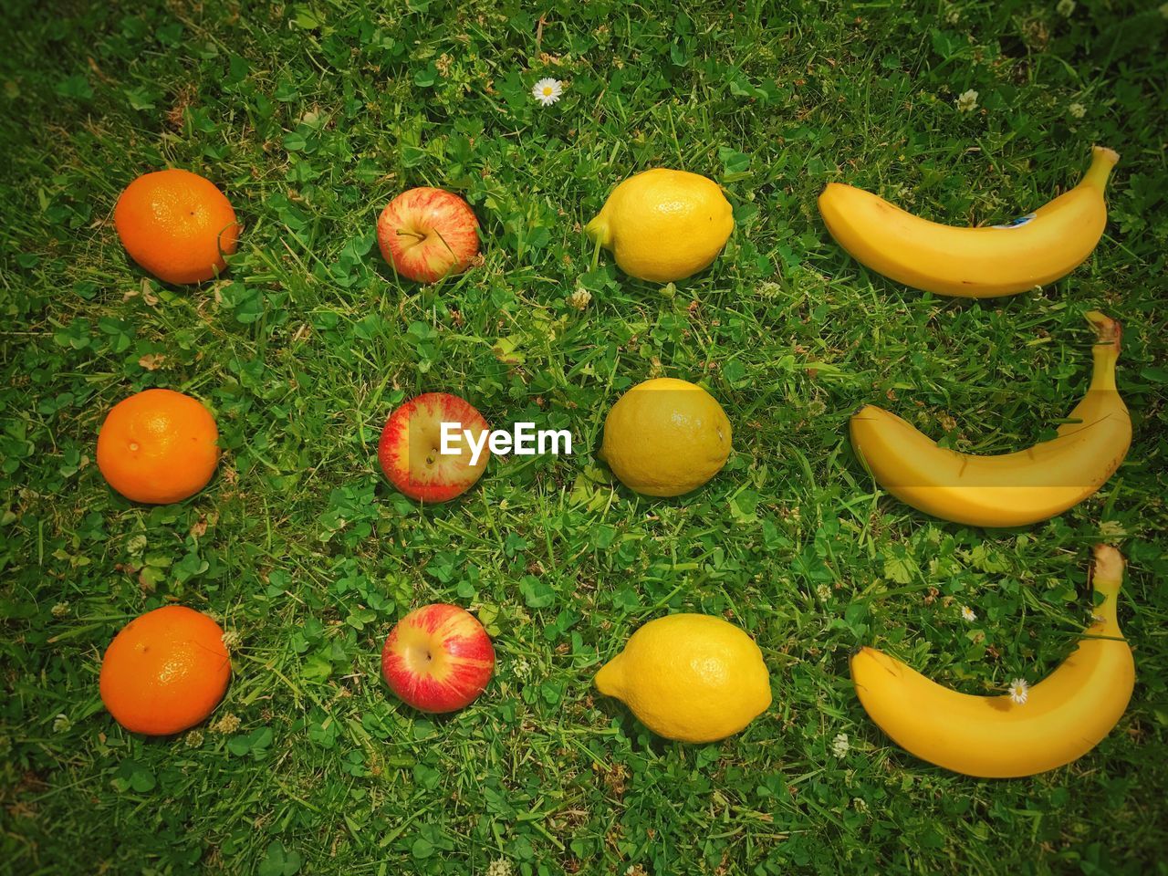 HIGH ANGLE VIEW OF YELLOW FRUITS ON FIELD