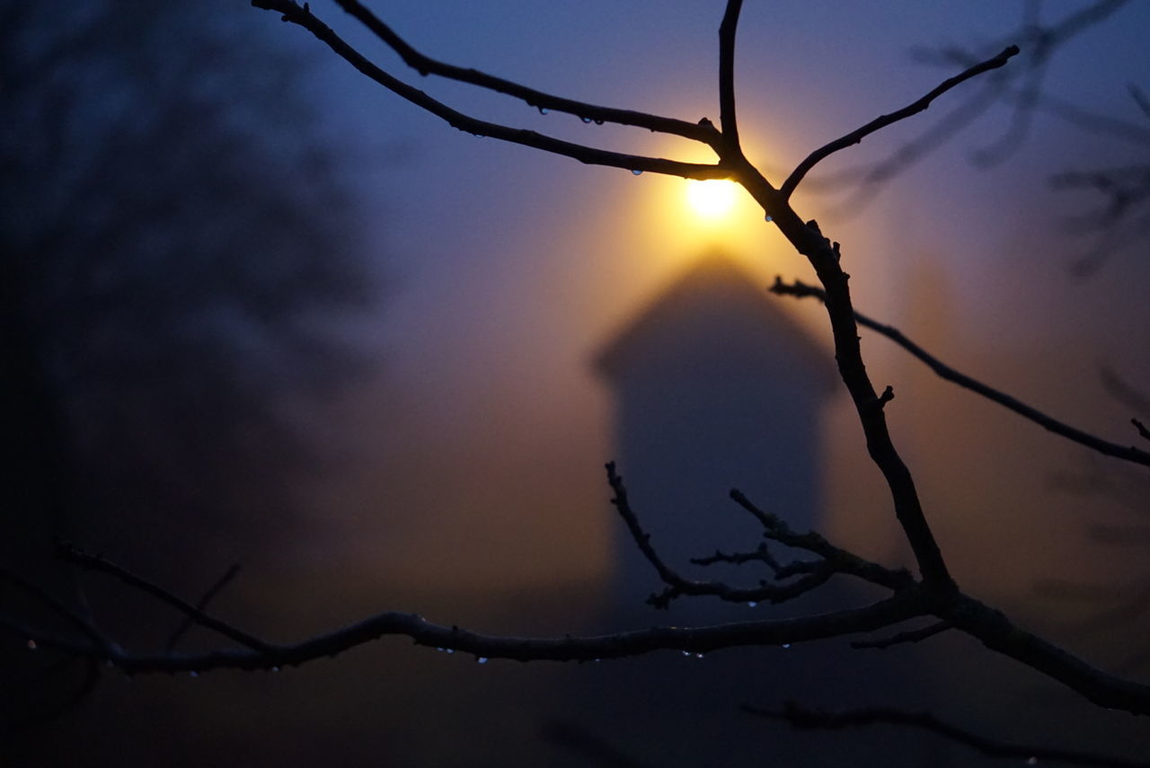 tree, darkness, sky, branch, silhouette, nature, beauty in nature, light, sunset, plant, tranquility, no people, sunlight, bare tree, reflection, scenics - nature, evening, fog, outdoors, cloud, sun, tranquil scene, dramatic sky, dusk, environment, twilight, twig, back lit, non-urban scene, landscape, focus on foreground, land, forest