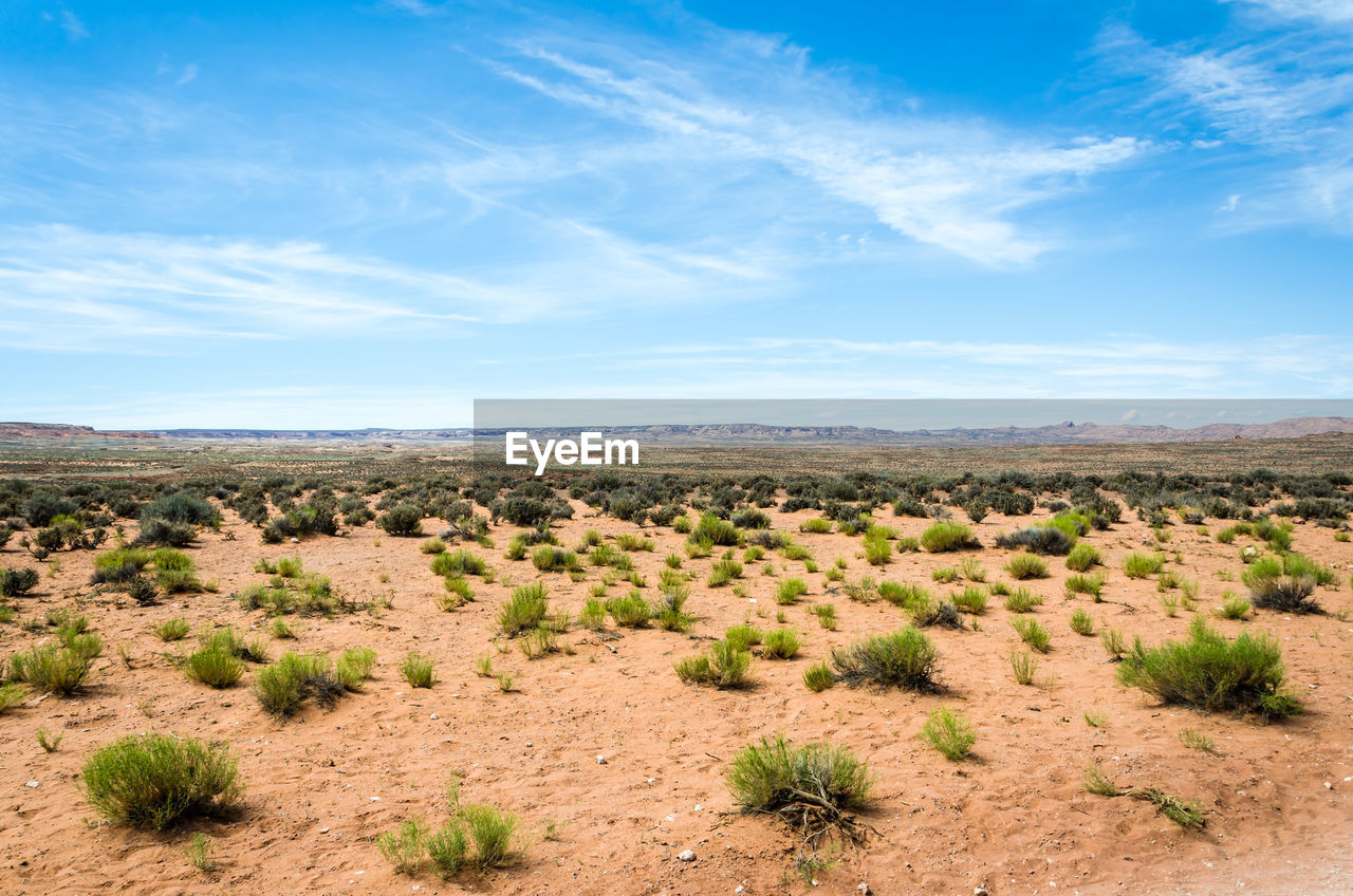 SCENIC VIEW OF LAND AGAINST SKY