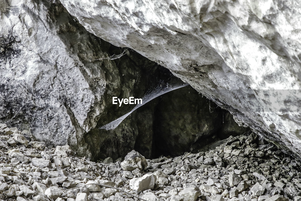 CLOSE-UP OF ROCK ON TREE