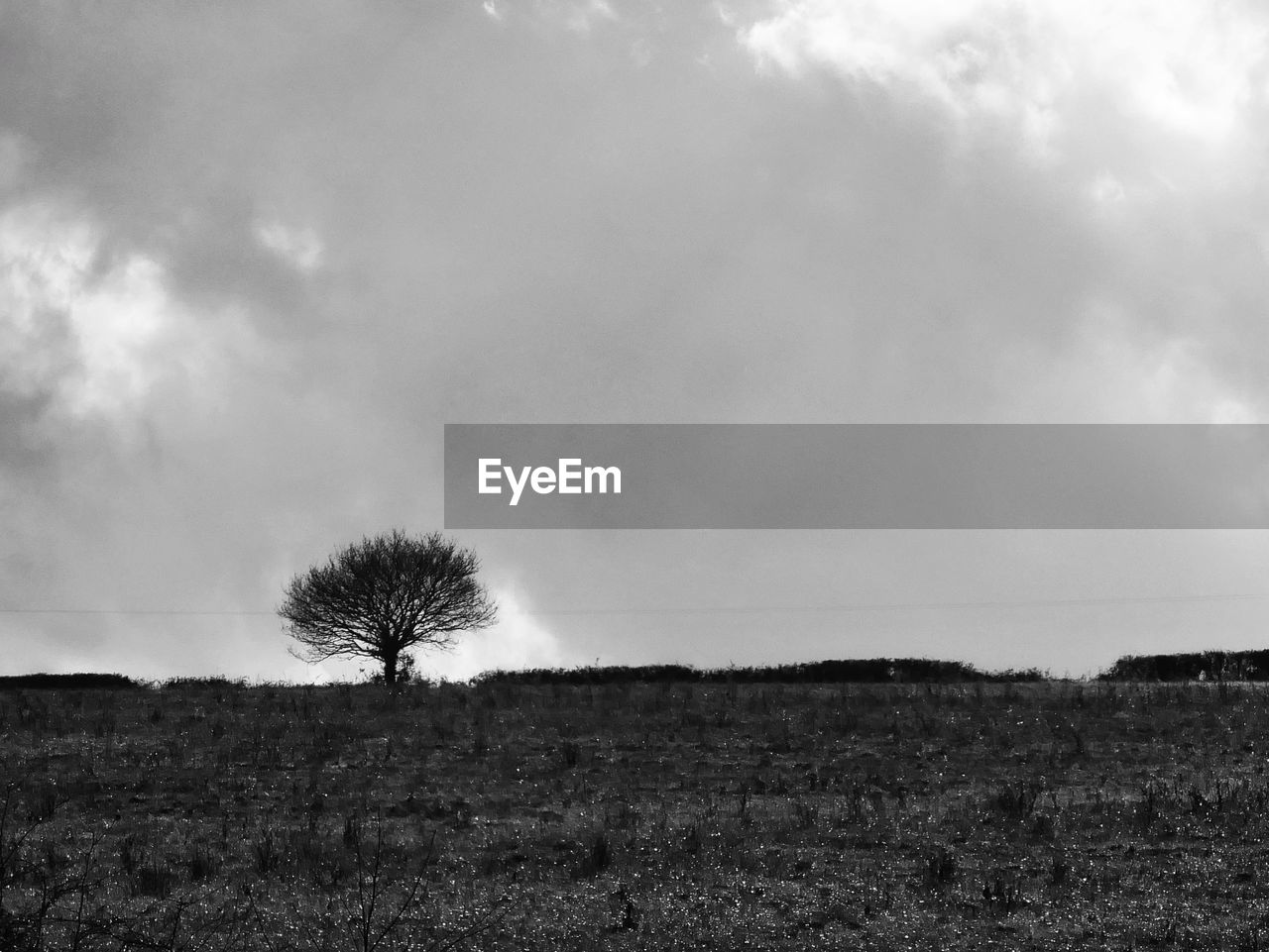 sky, cloud, black and white, plant, landscape, horizon, environment, monochrome, monochrome photography, land, tree, nature, beauty in nature, scenics - nature, field, tranquility, tranquil scene, no people, grass, darkness, hill, rural scene, outdoors, non-urban scene, rural area, day, growth, horizon over land, black, storm, silhouette, cloudscape