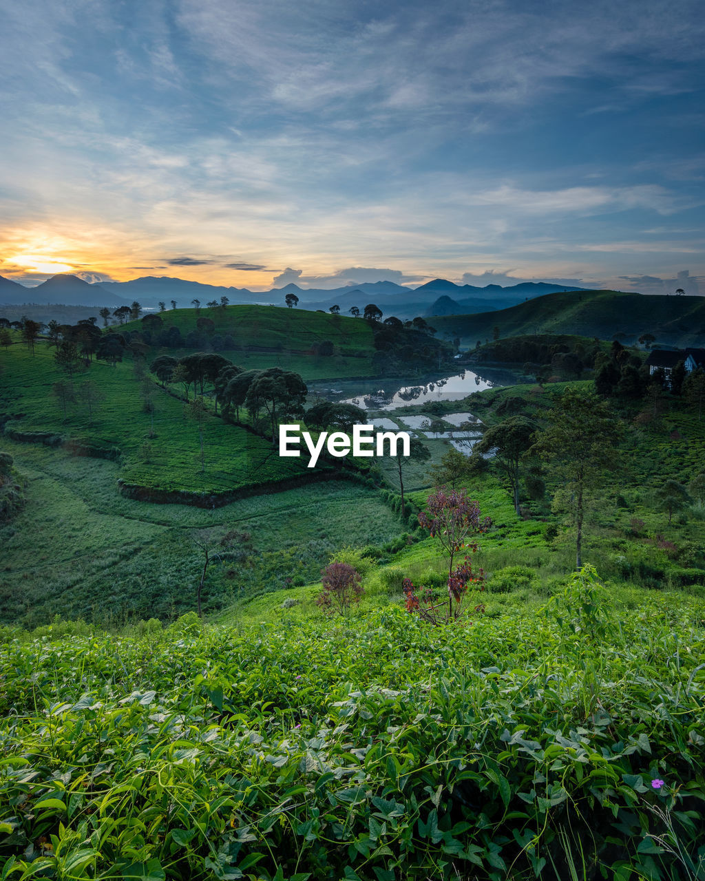 Scenic view of landscape against sky during sunset