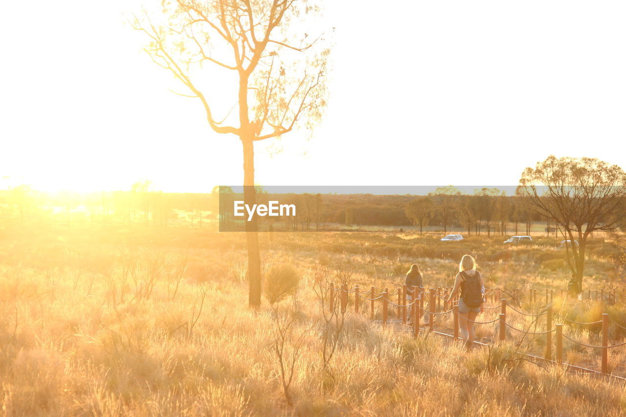 Scenic view of grassy field against sky during sunset