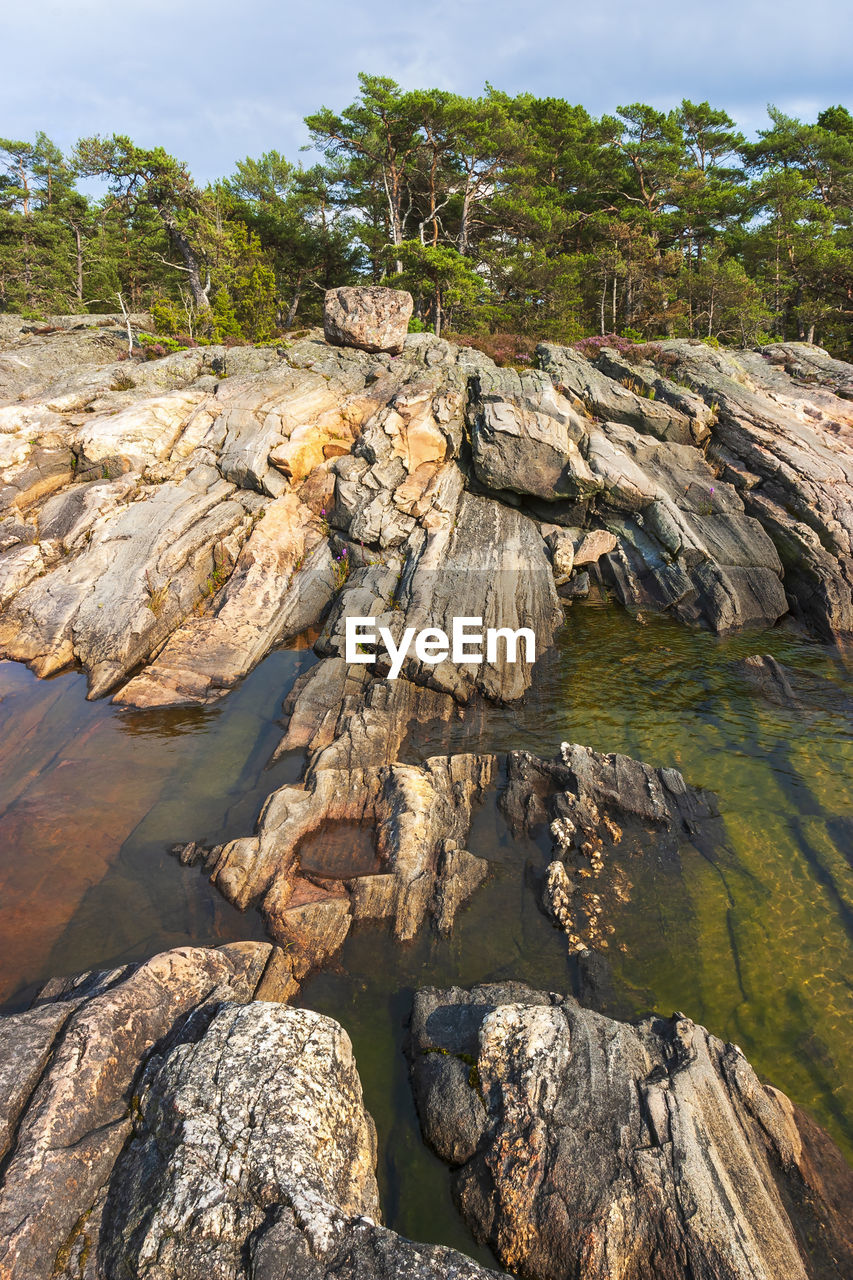 Rocky beach at a pine woodland landscape