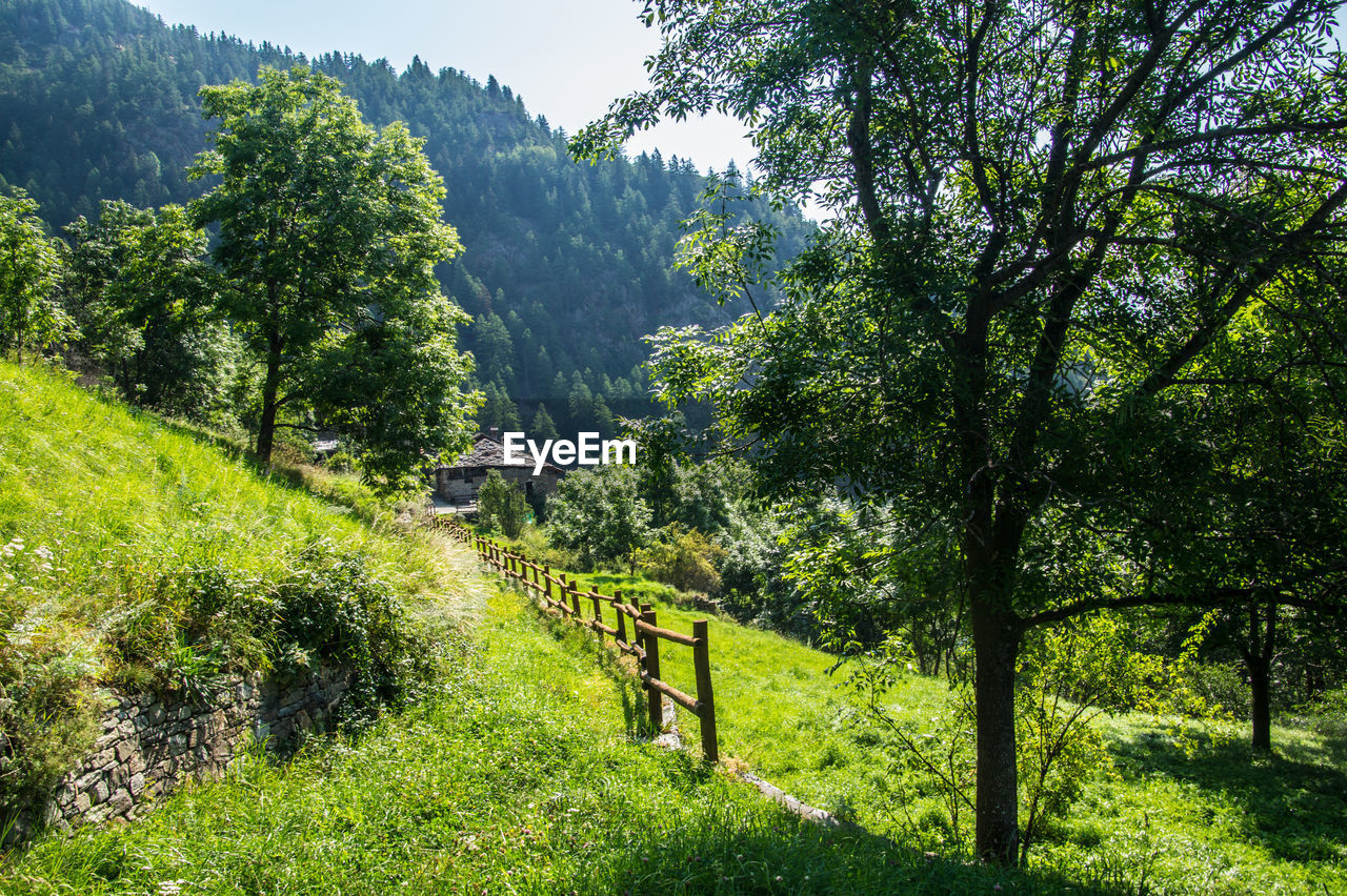 Vedun in val of aoste in italy