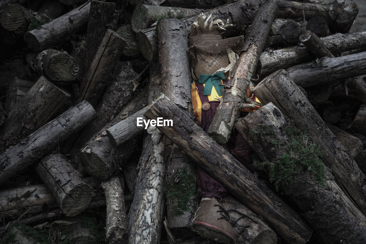 High angle view of abandoned toy in logs