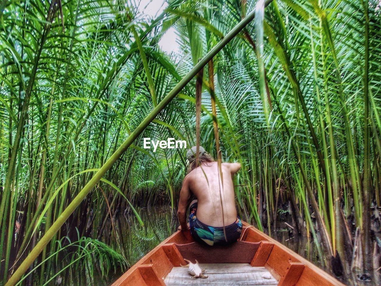 Rear view of shirtless man sitting on boat at mangrove forest