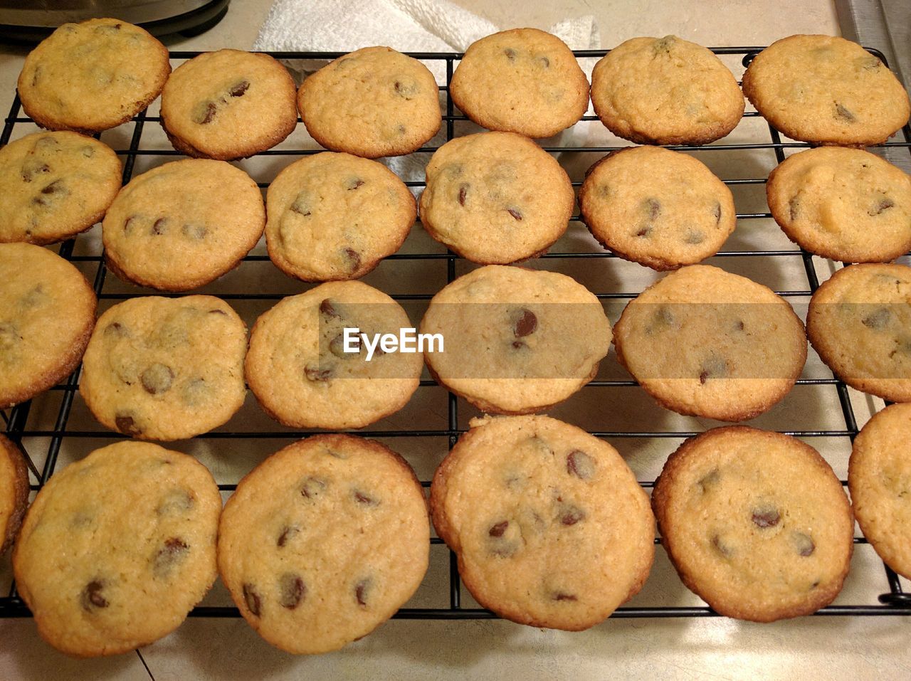 Close-up of freshly baked cookies