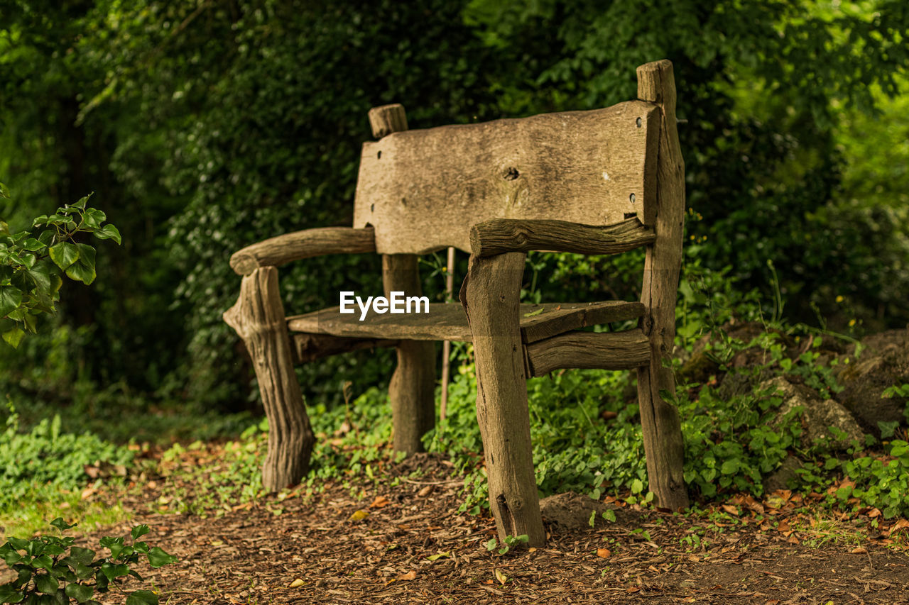 ABANDONED BENCH IN FOREST