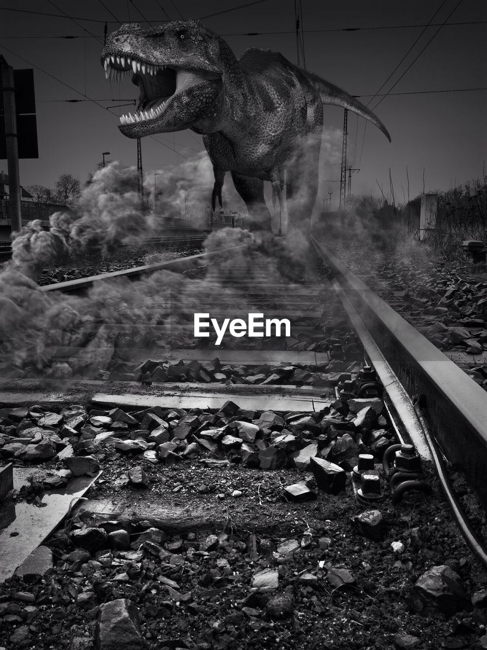 Tyrannosaurus rex on railroad tracks