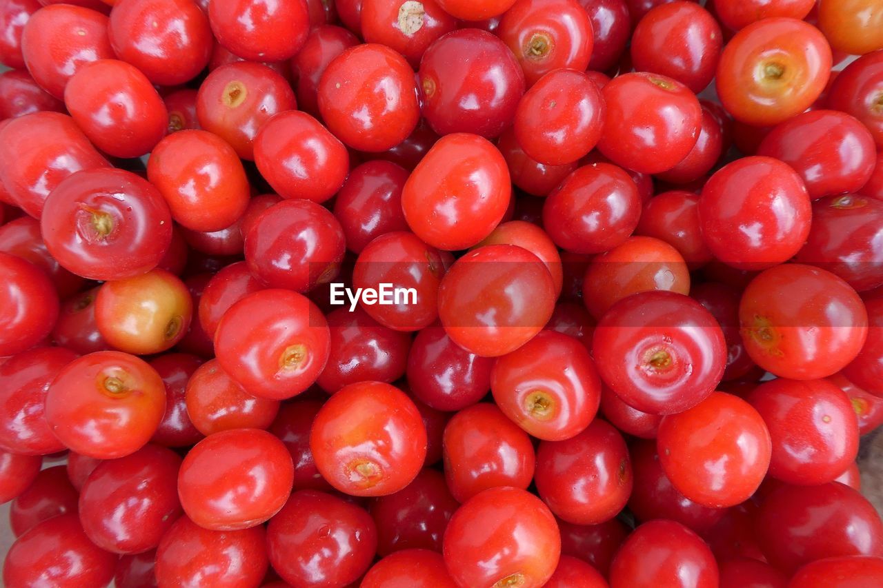 FULL FRAME SHOT OF RED CHERRIES