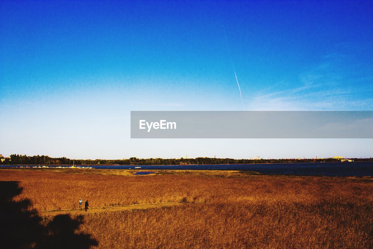 FIELD AGAINST BLUE SKY