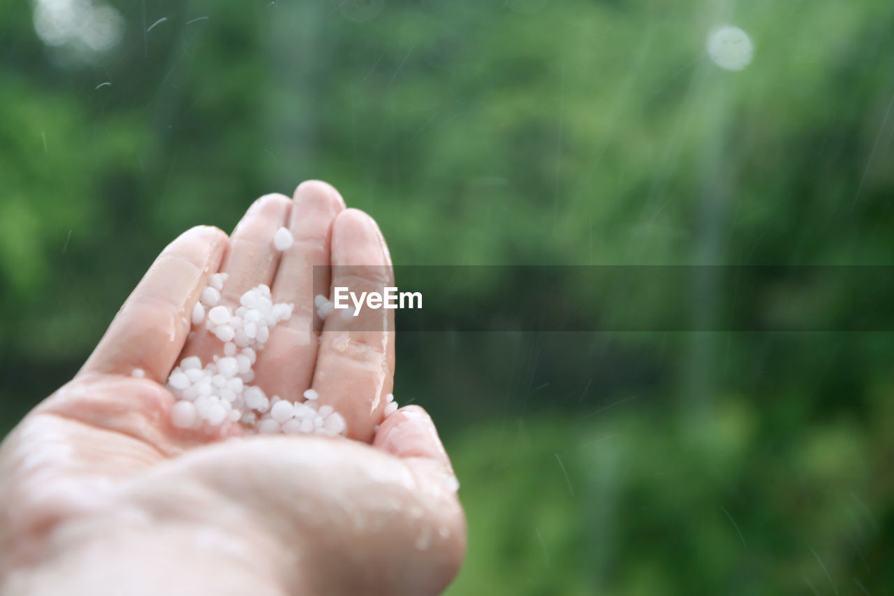 Cropped hand holding snow