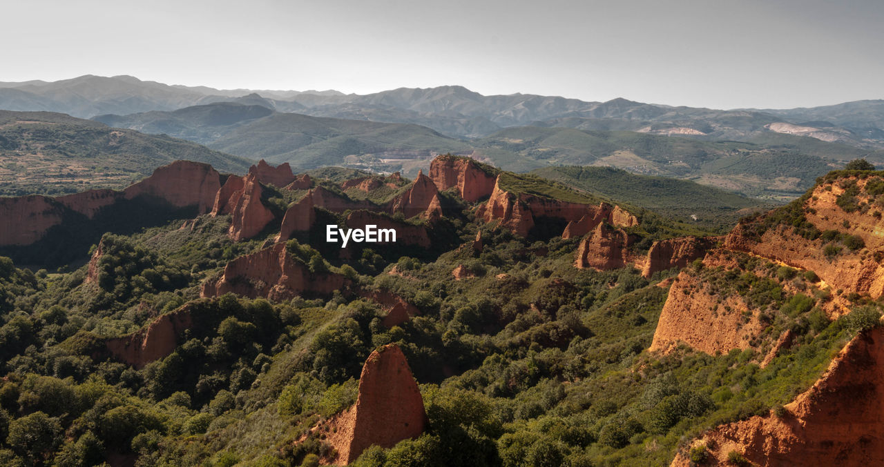 High angle view of trees on mountain