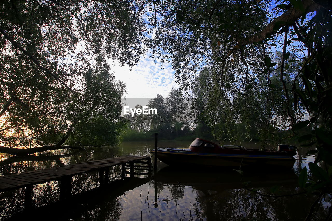 SCENIC VIEW OF LAKE AMIDST TREES