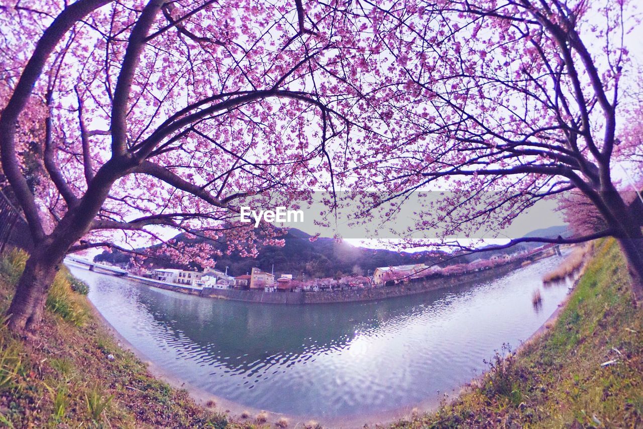 SCENIC VIEW OF RIVER AGAINST SKY