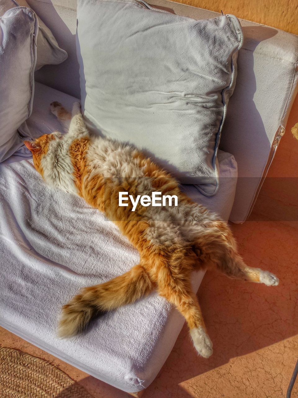 HIGH ANGLE VIEW OF CAT RELAXING ON BED