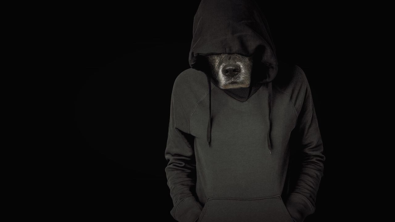 Person in dog costume with hands in pockets standing against black background