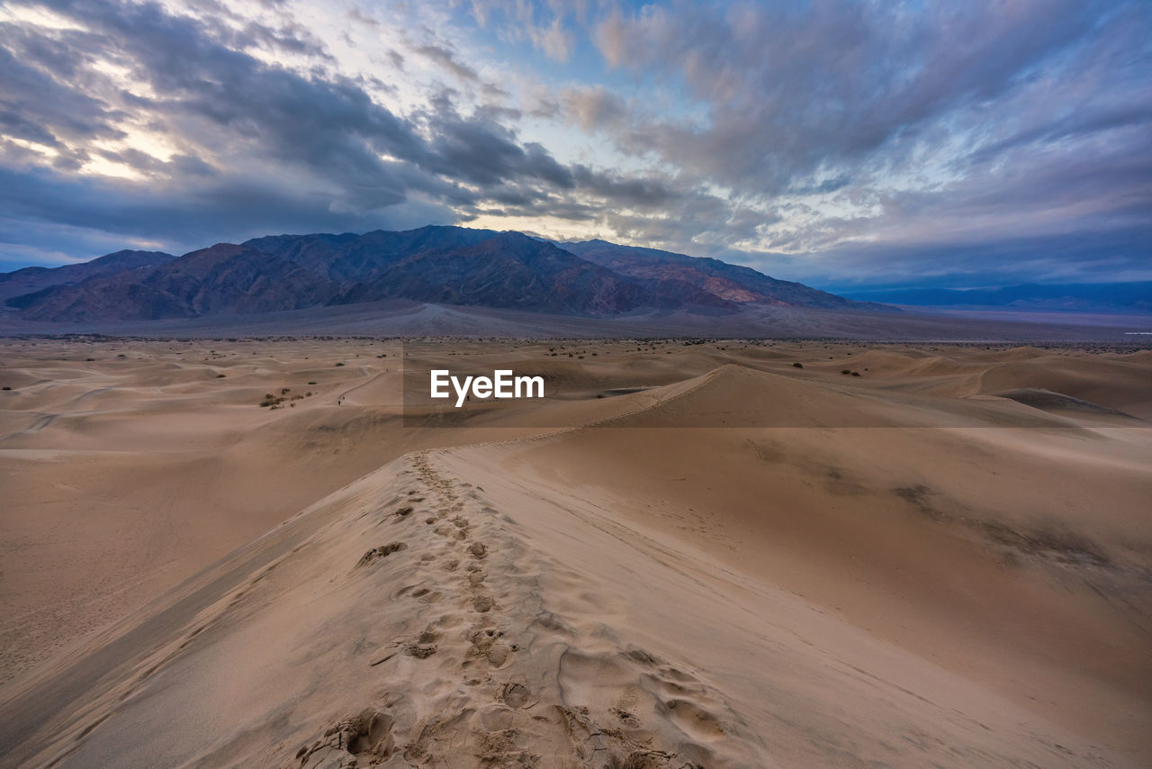 Scenic view of desert against sky