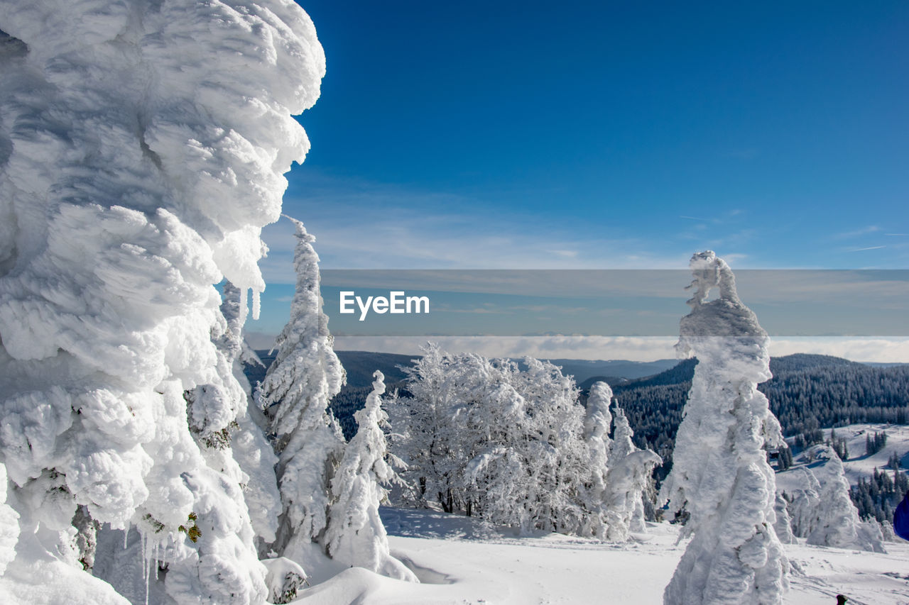 Panoramic view of snowcapped landscape against sky