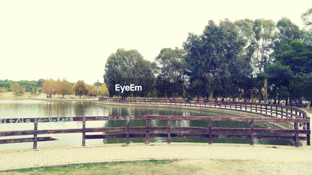 TREES BY WATER AGAINST CLEAR SKY