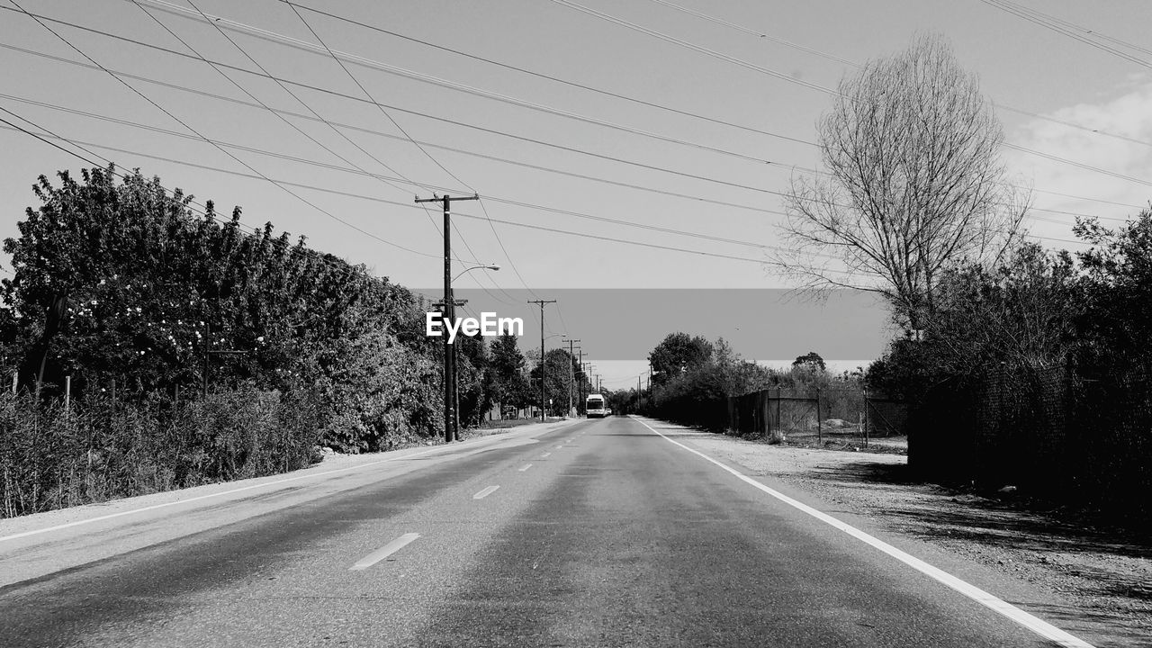 EMPTY ROAD ALONG TREES