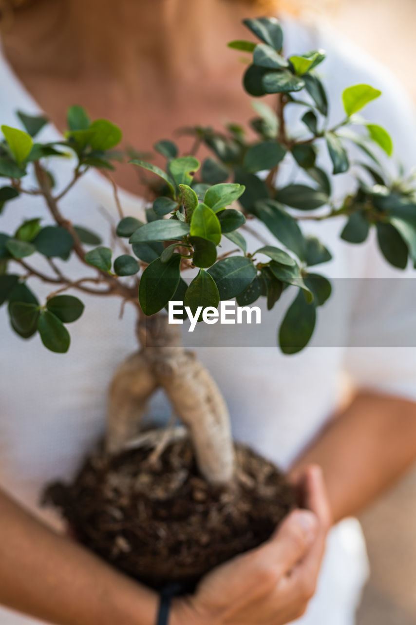 Close-up of hand holding potted plant