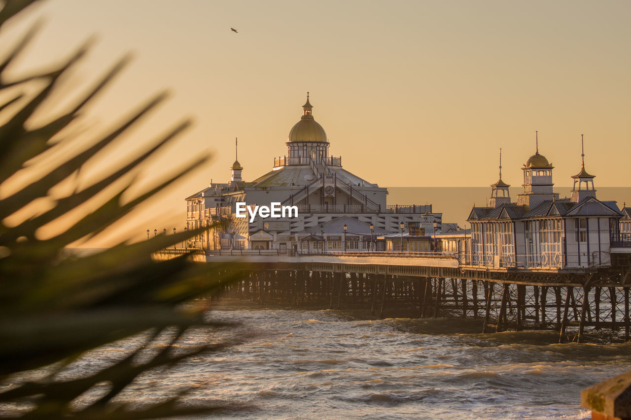 Eastbourne pier at sunrise with a palm tree branch in the foreground