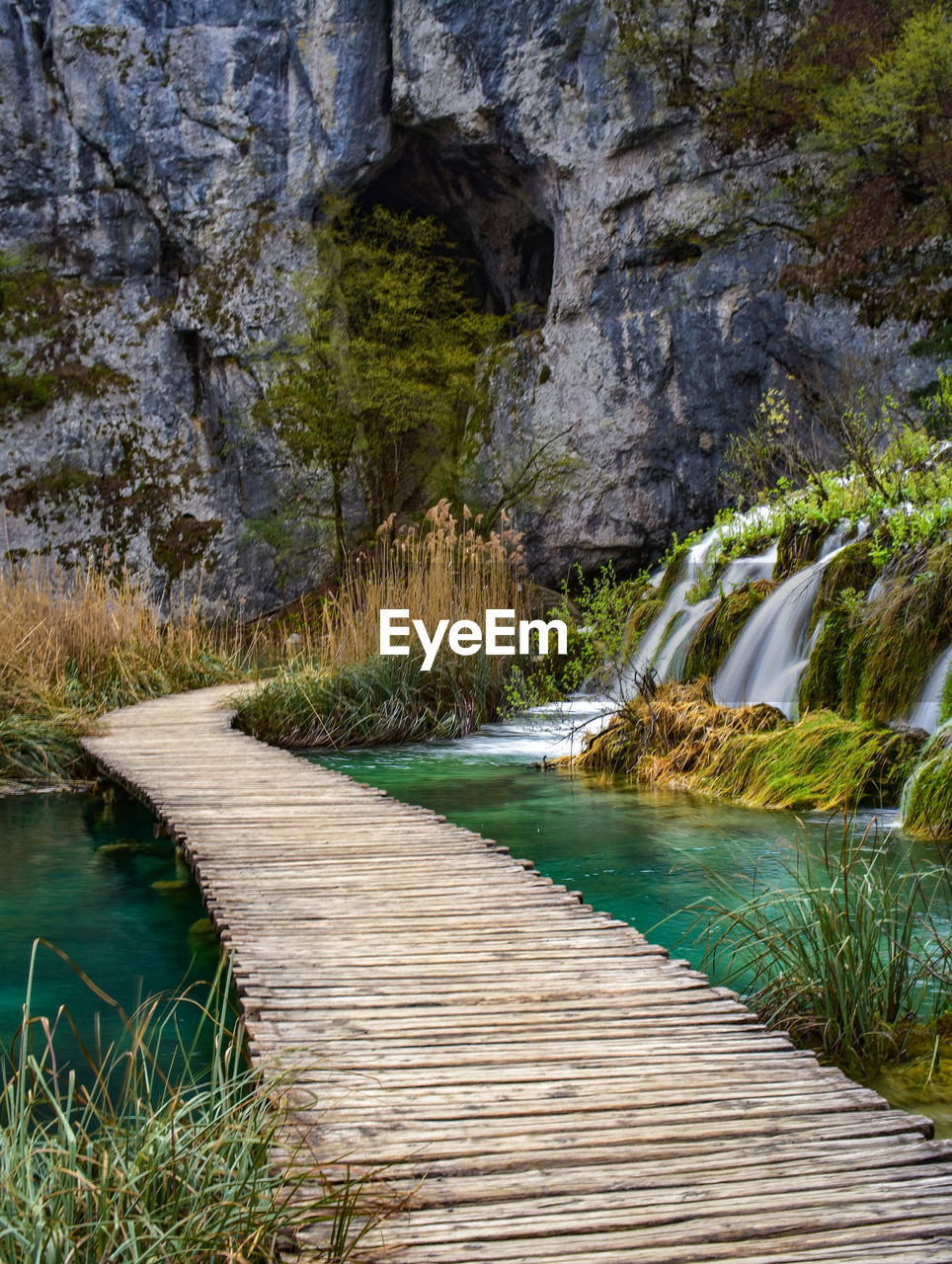 A pathway inside the plitvice lake national park