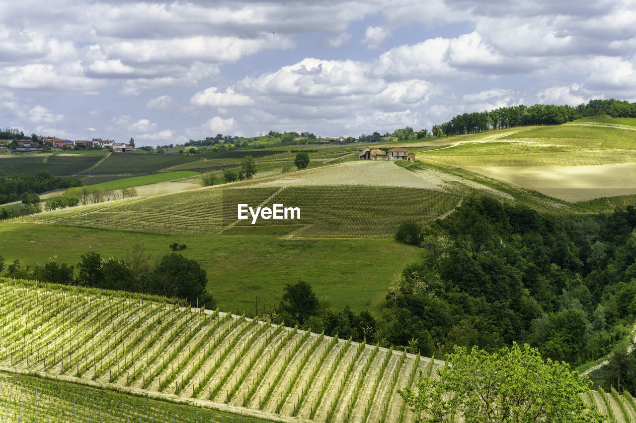 SCENIC VIEW OF FARMS AGAINST SKY