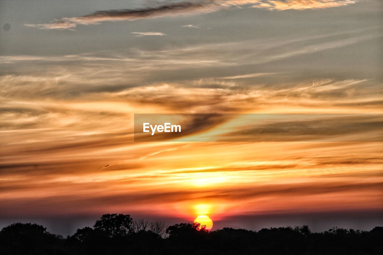 SCENIC VIEW OF SILHOUETTE TREES AGAINST ROMANTIC SKY