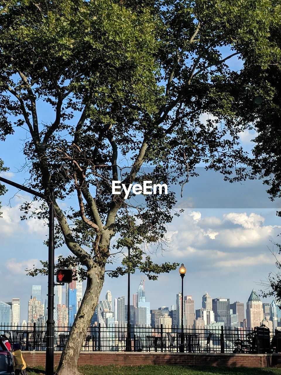 Trees and buildings in city against sky