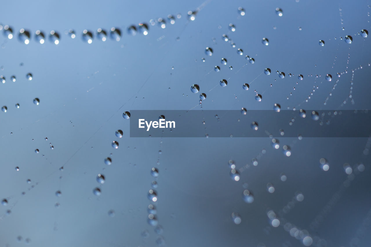 Close-up of water drops on spider web against sky