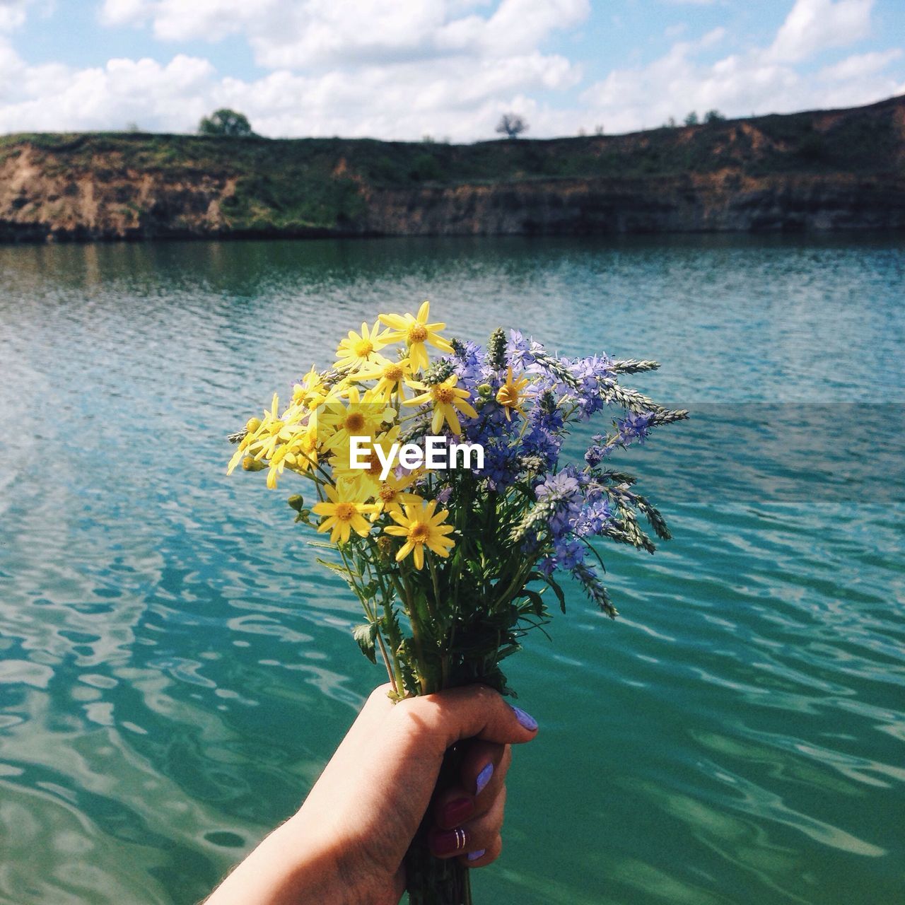 Cropped image of hand holding flower by lake against sky