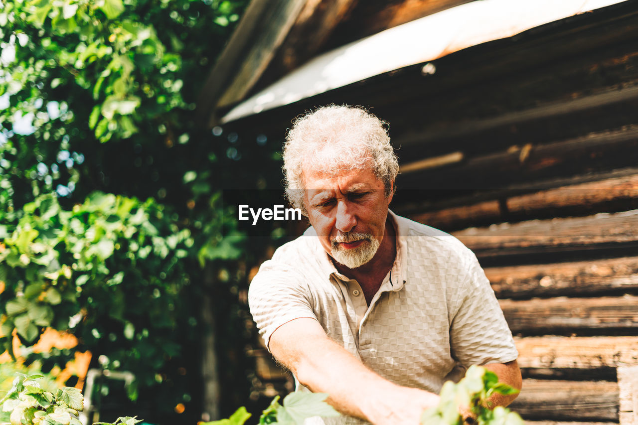 Senior man gardening at backyard