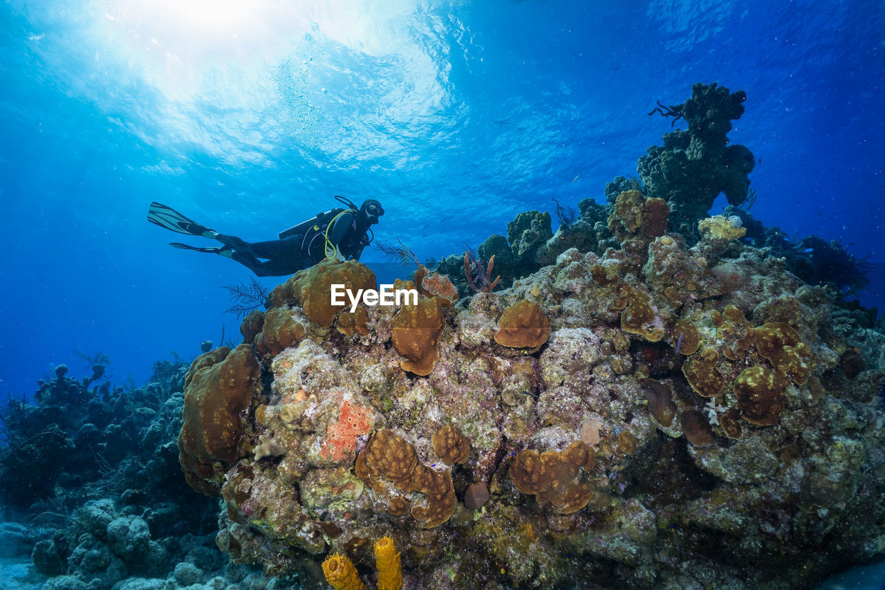 Woman diving undersea