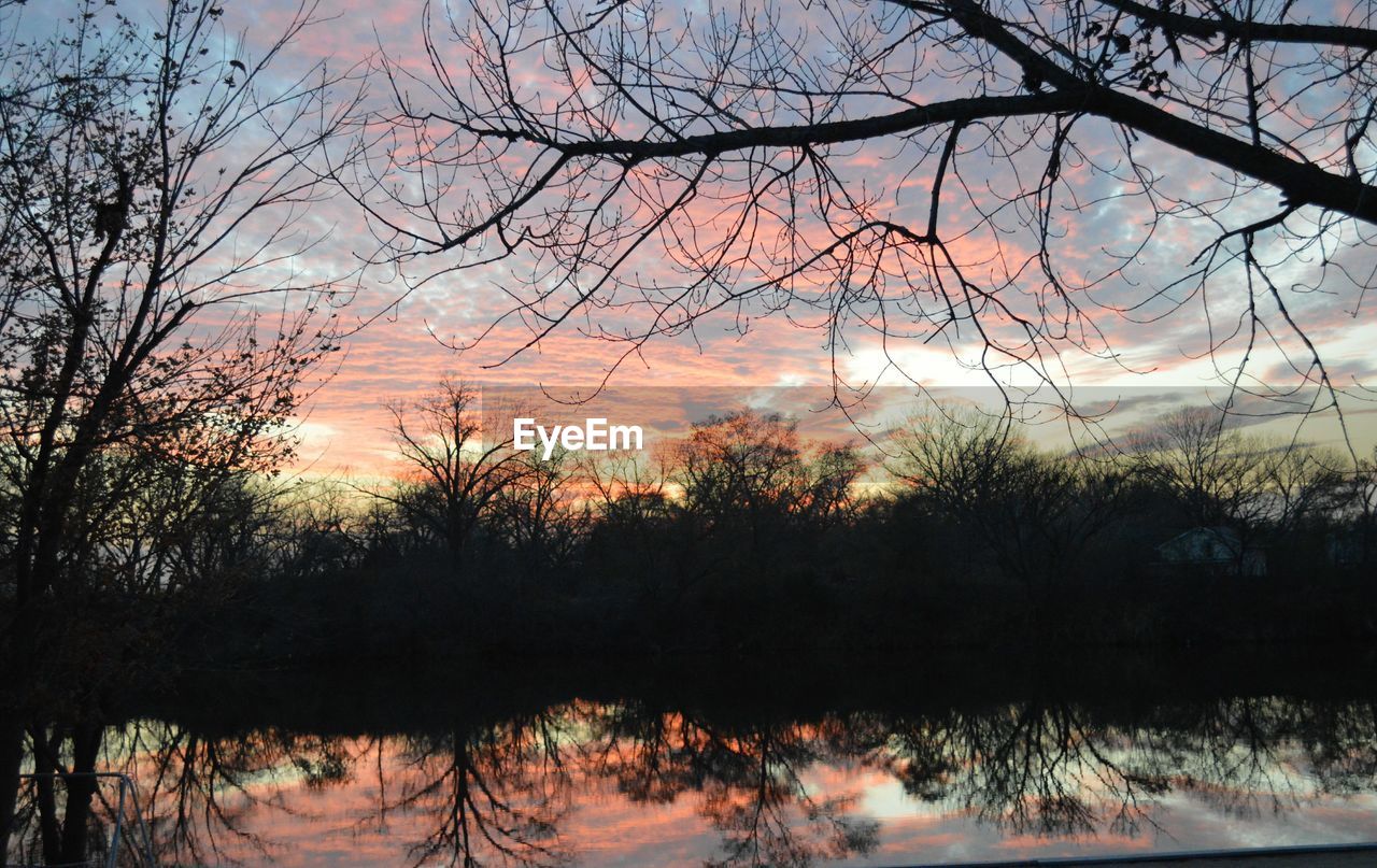 SILHOUETTE TREES BY LAKE AGAINST SKY DURING SUNSET