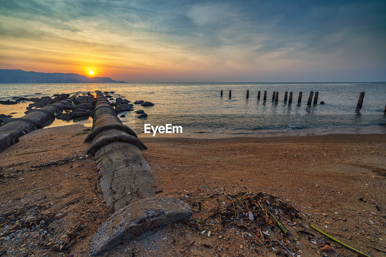 SCENIC VIEW OF DRIFTWOOD ON BEACH