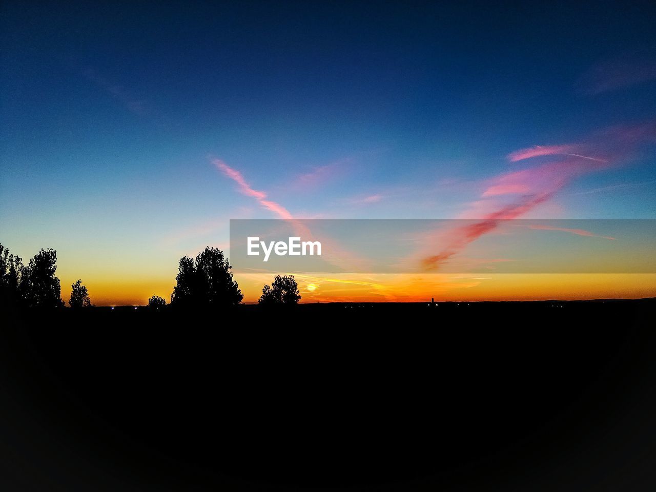 SILHOUETTE TREES ON FIELD AGAINST SKY DURING SUNSET